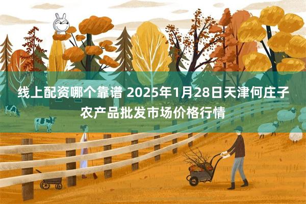线上配资哪个靠谱 2025年1月28日天津何庄子农产品批发市场价格行情