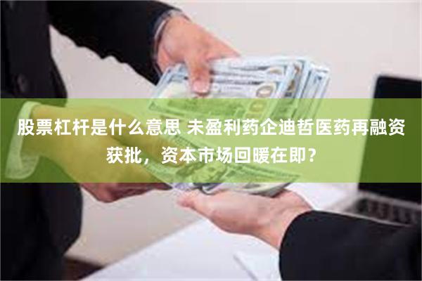 股票杠杆是什么意思 未盈利药企迪哲医药再融资获批，资本市场回暖在即？