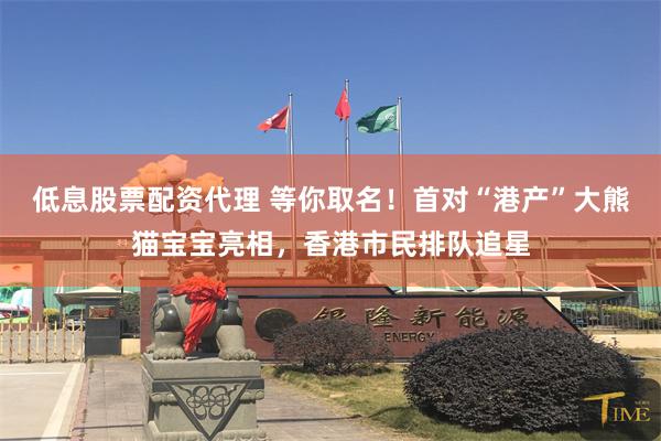 低息股票配资代理 等你取名！首对“港产”大熊猫宝宝亮相，香港市民排队追星