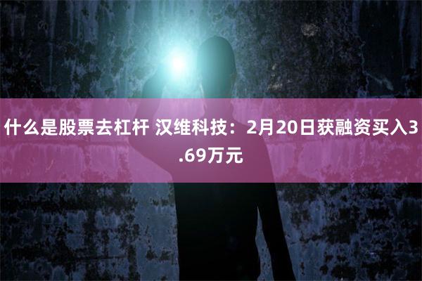 什么是股票去杠杆 汉维科技：2月20日获融资买入3.69万元