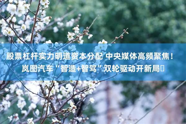 股票杠杆实力明道资本分配 中央媒体高频聚焦！ 岚图汽车“智造+智驾”双轮驱动开新局‌