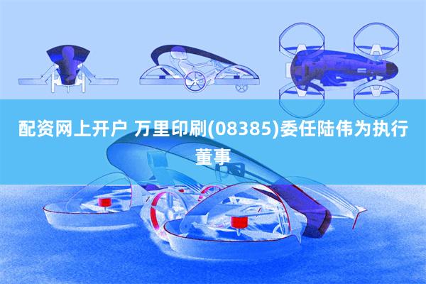 配资网上开户 万里印刷(08385)委任陆伟为执行董事