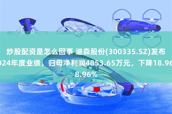 炒股配资是怎么回事 迪森股份(300335.SZ)发布2024年度业绩，归母净利润4853.65万元，下降18.96%