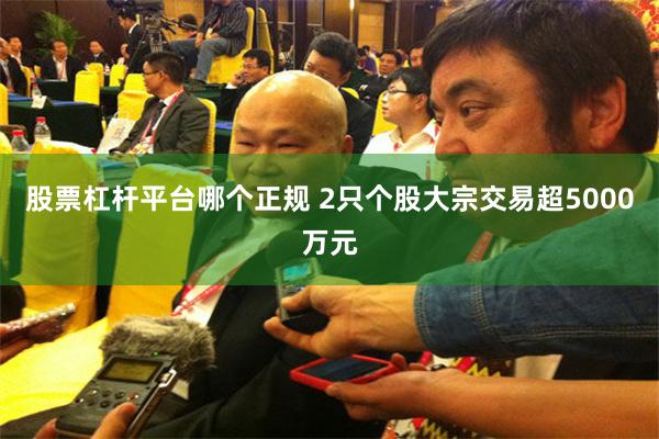 股票杠杆平台哪个正规 2只个股大宗交易超5000万元