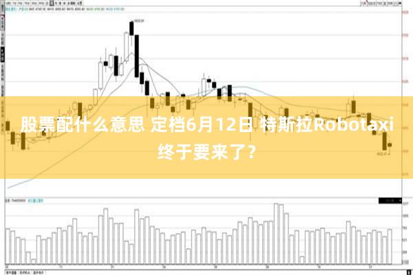 股票配什么意思 定档6月12日 特斯拉Robotaxi终于要来了？