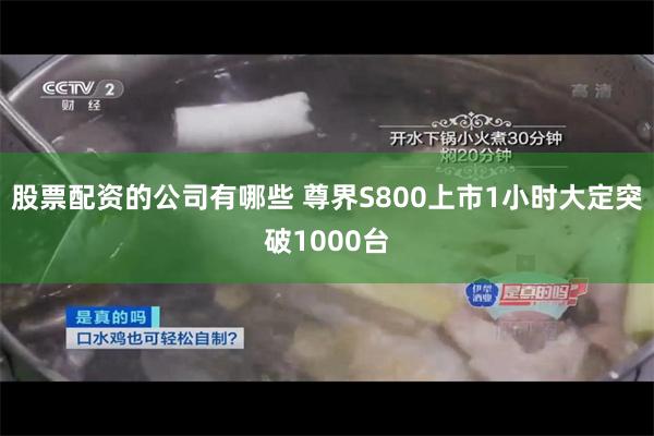 股票配资的公司有哪些 尊界S800上市1小时大定突破1000台