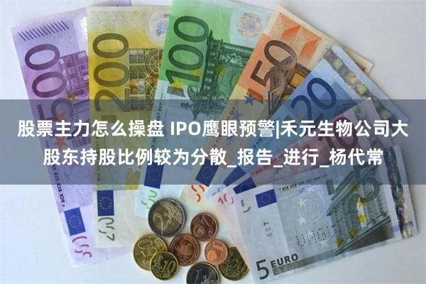股票主力怎么操盘 IPO鹰眼预警|禾元生物公司大股东持股比例较为分散_报告_进行_杨代常