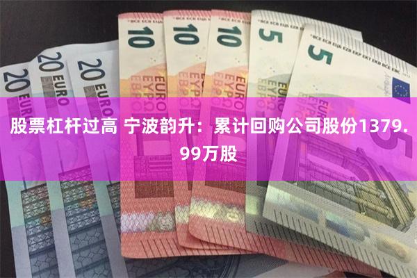 股票杠杆过高 宁波韵升：累计回购公司股份1379.99万股