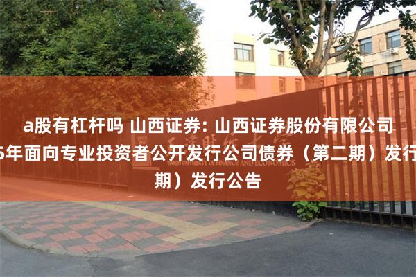 a股有杠杆吗 山西证券: 山西证券股份有限公司2025年面向专业投资者公开发行公司债券（第二期）发行公告
