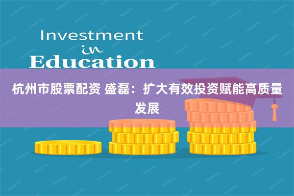杭州市股票配资 盛磊：扩大有效投资赋能高质量发展