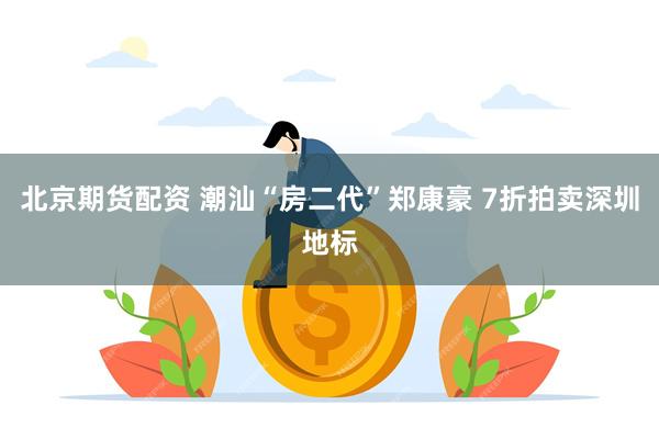 北京期货配资 潮汕“房二代”郑康豪 7折拍卖深圳地标